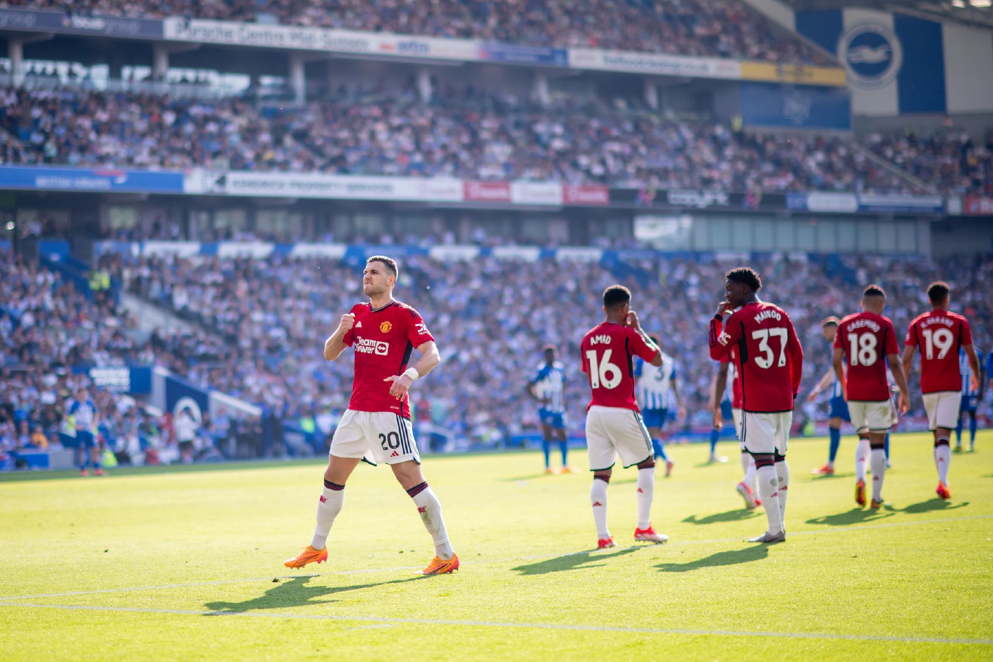 这句话不仅 这句话不仅